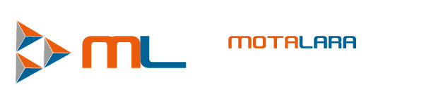 Mota Lara Asesores Empresariales